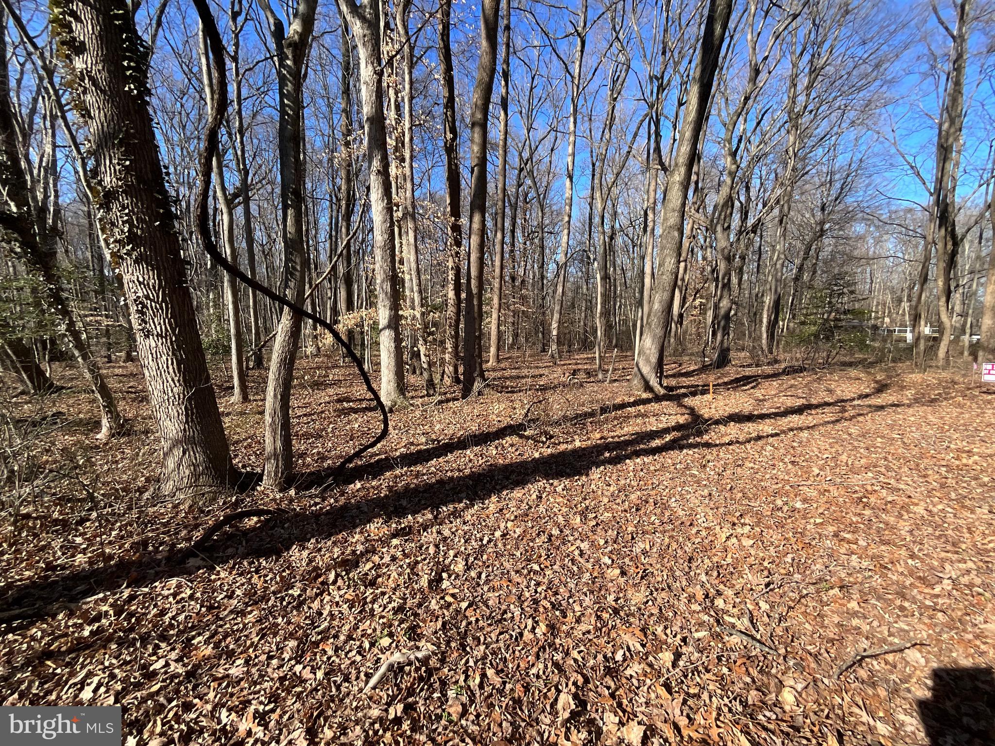 Holly Neck Road Essex, MD 21221 - Photo 5 of 10