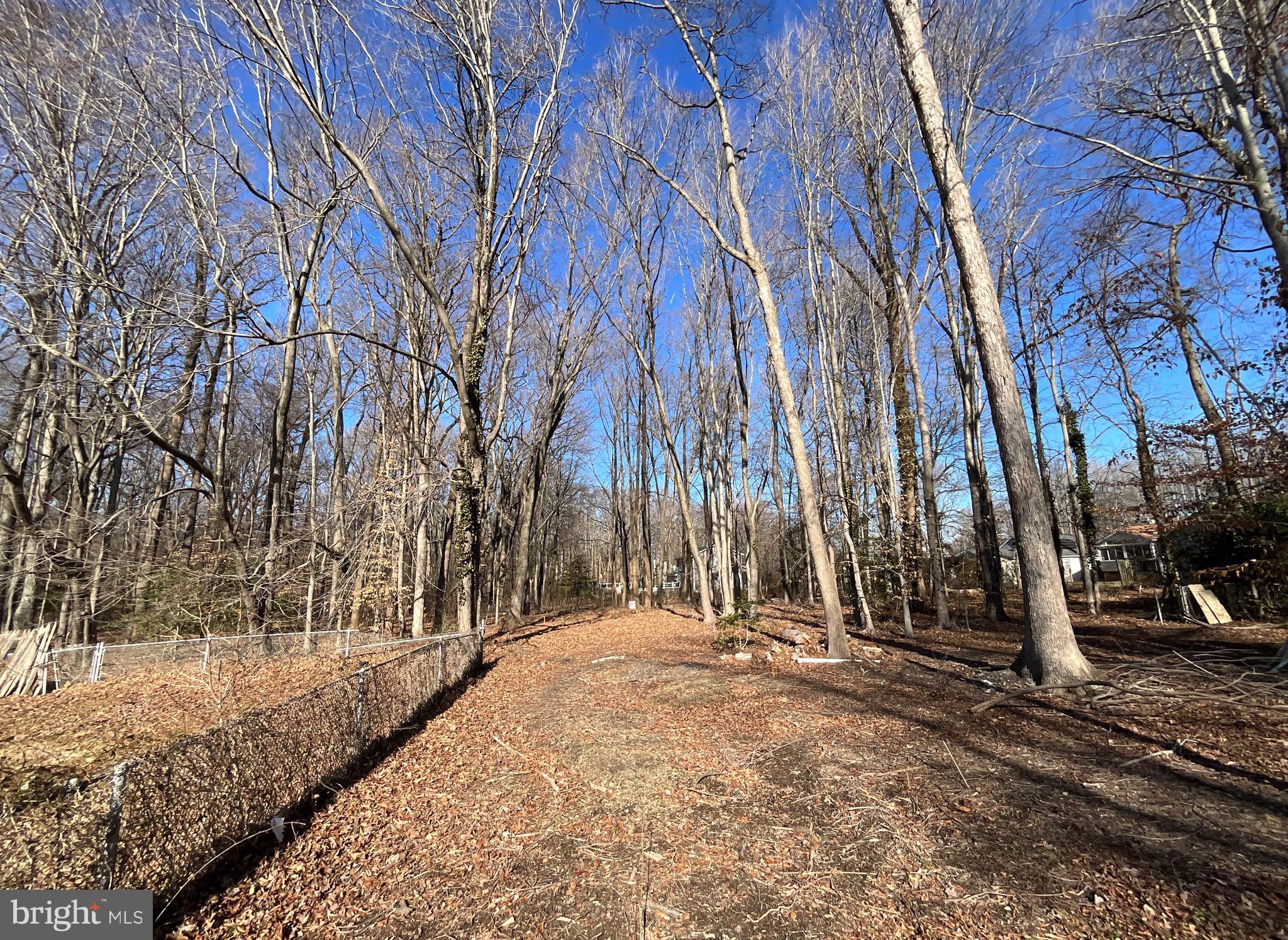 Holly Neck Road Essex, MD 21221 - Photo 7 of 10