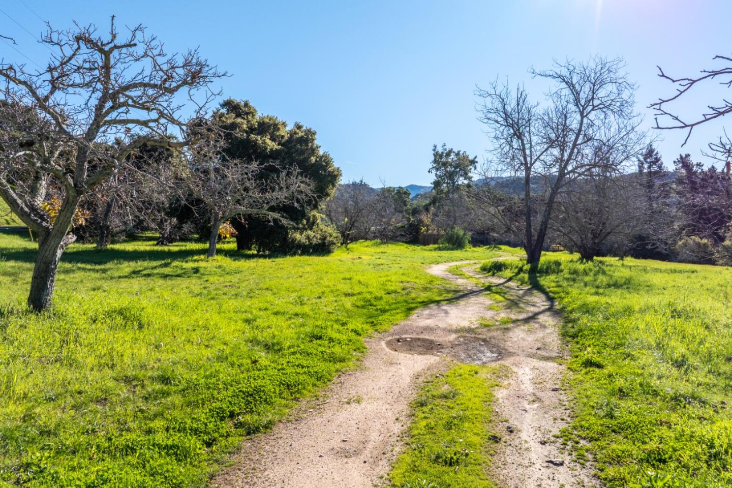 29 East Carmel Valley Road Carmel Valley, CA 93924 - Photo 1 of 15 a view of a park with large trees