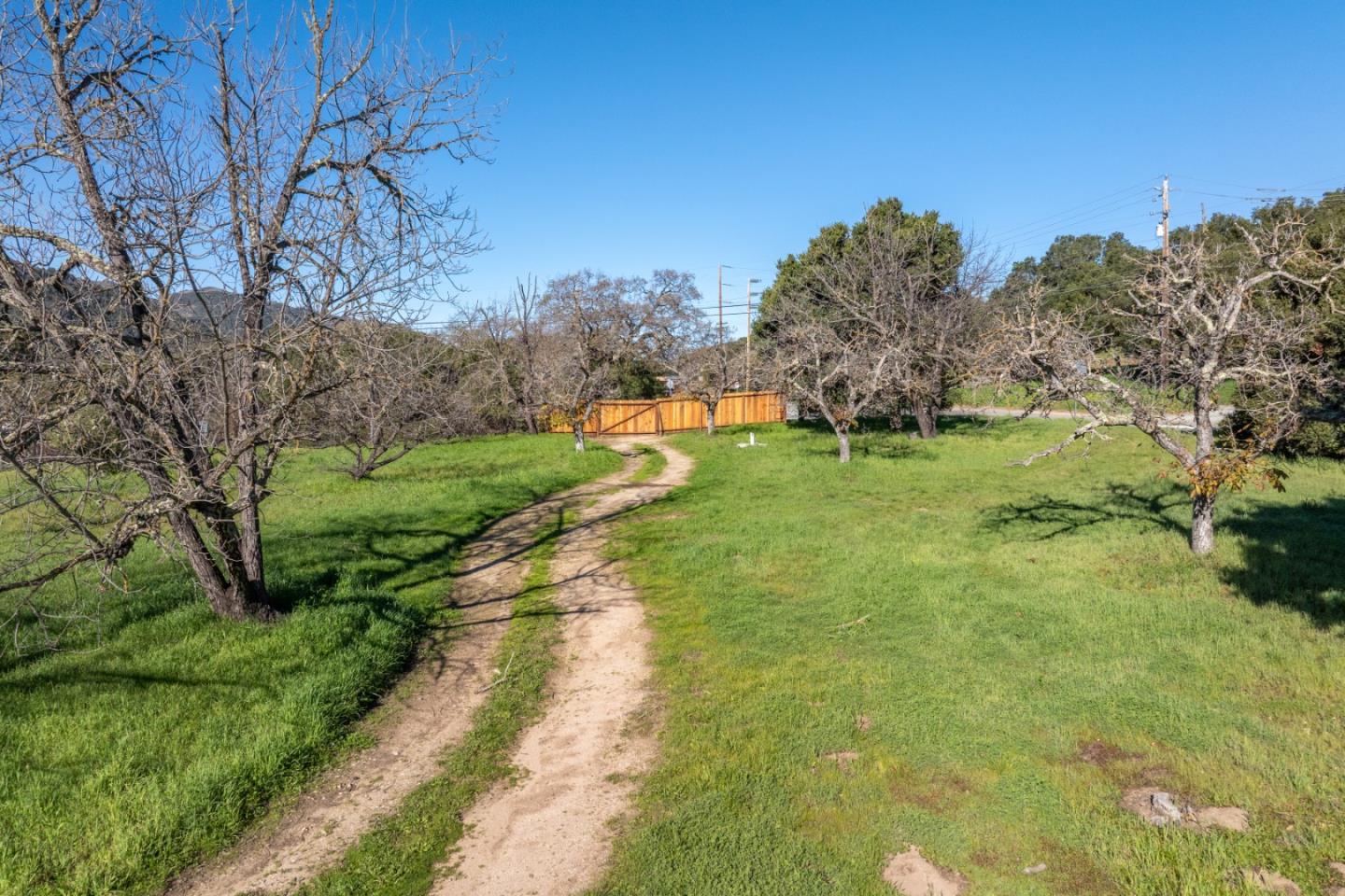 29 East Carmel Valley Road Carmel Valley, CA 93924 - Photo 4 of 15 a big yard with lots of green space and deers