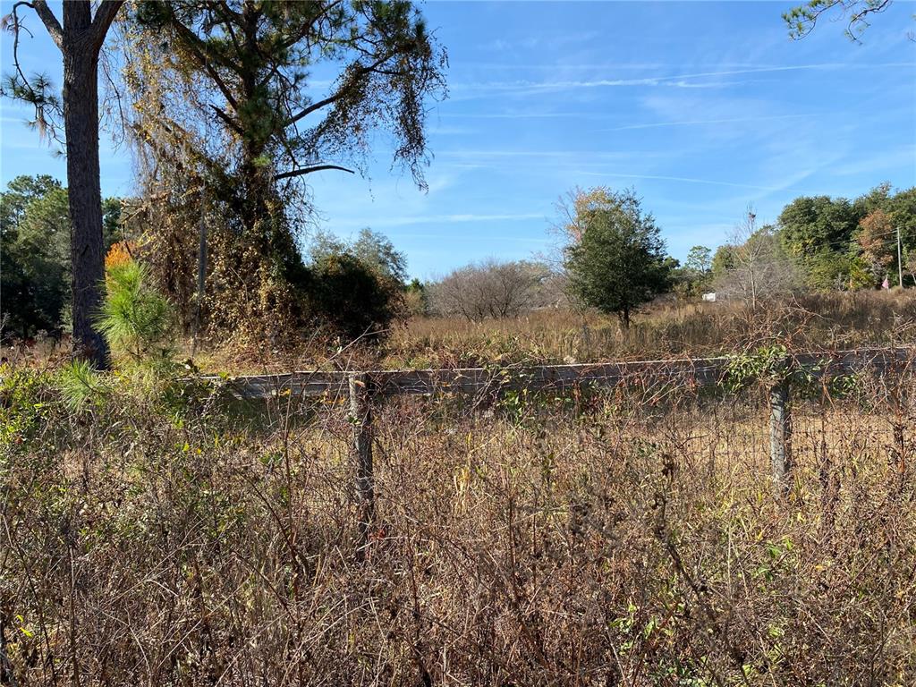 19690 Northeast 73rd Terrace Citra, FL 32113 - Photo 3 of 6 a view of a lake view