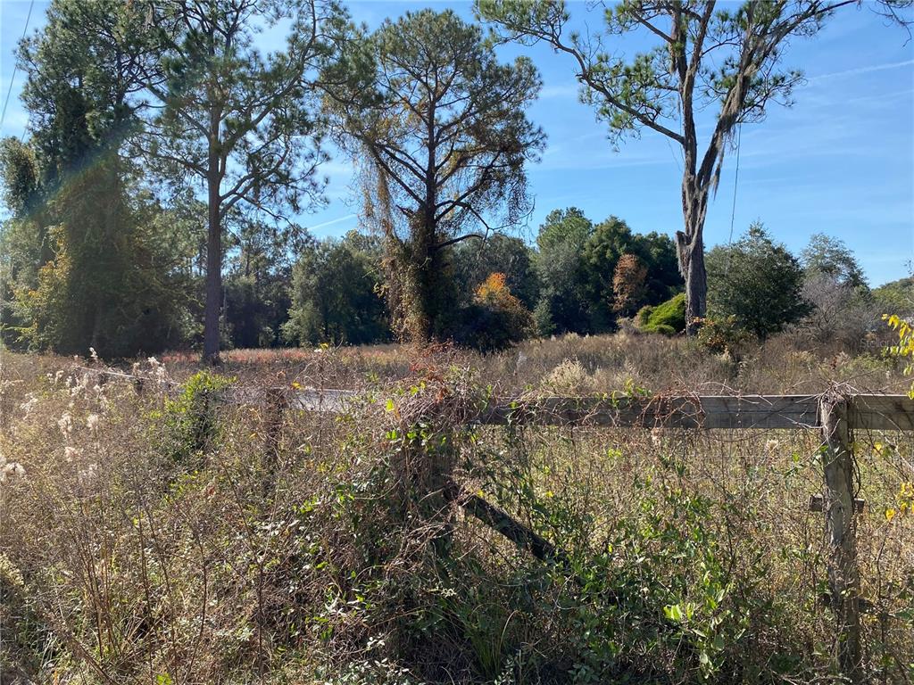 19690 Northeast 73rd Terrace Citra, FL 32113 - Photo 4 of 6 a view of a lake with trees