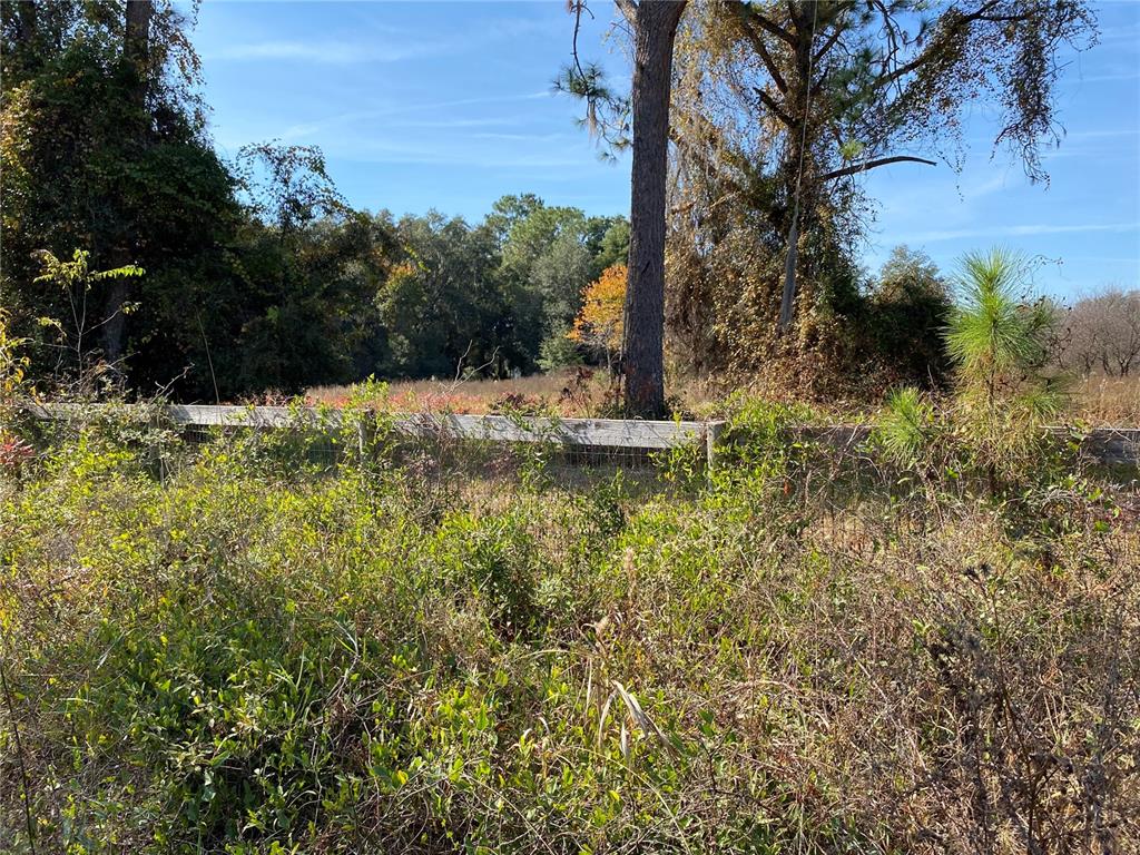 19690 Northeast 73rd Terrace Citra, FL 32113 - Photo 6 of 6 a view of a garden with a fountain