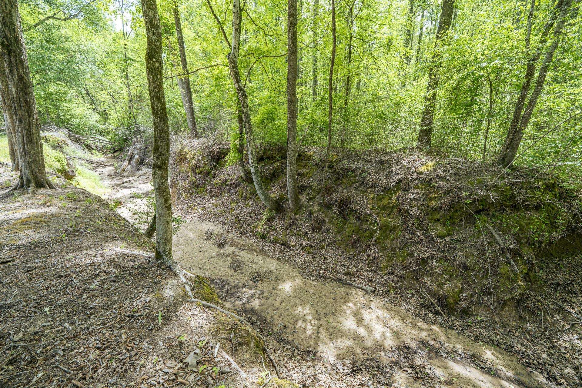 490 Laney Road Toone, TN 38381 - Photo 37 of 40 Gallery Image 37
