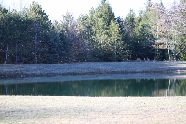11562 West Fillmore Road Sumner, MI 48889 - Photo 21 of 31 1814222-20.JPG