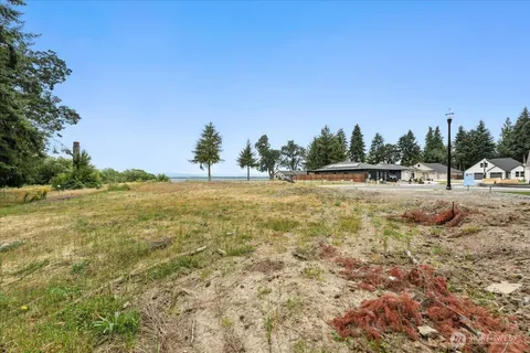 a view of a lake with trees and houses in the background
