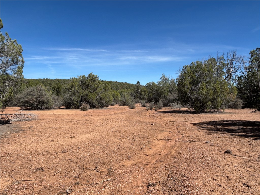 352-38-012 352-38-012 Badger Ridge Road Kingman, AZ 86401 - Photo 21 of 31