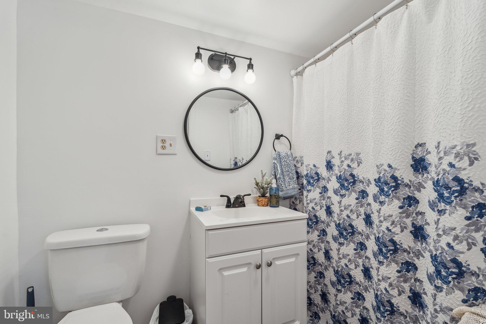 5232 Sumerduck Road Sumerduck, VA 22742 - Photo 27 of 40 a bathroom with a sink mirror vanity and toilet
