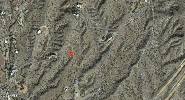 a close up of a tree