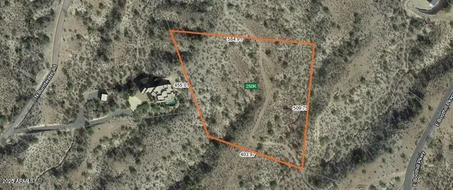 a view of a forest with large trees