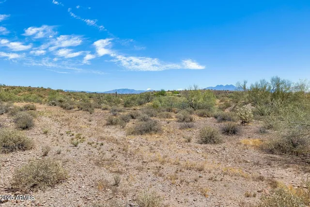 a view of a bunch of trees in all around
