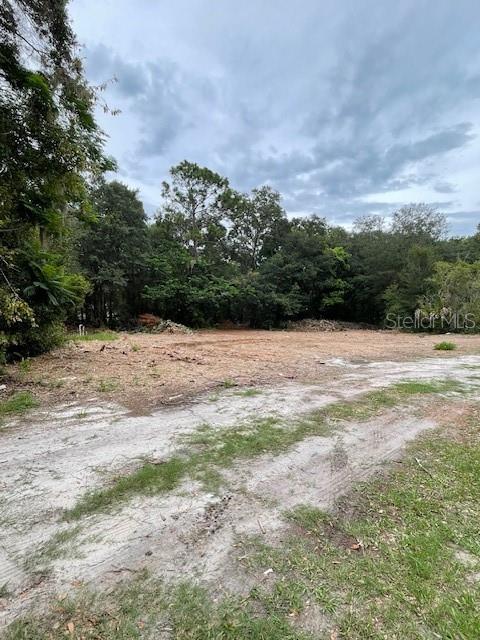 2908 Cleburne Road Orlando, FL 32817 - Photo 9 of 12 a view of hard wood floor with a yard