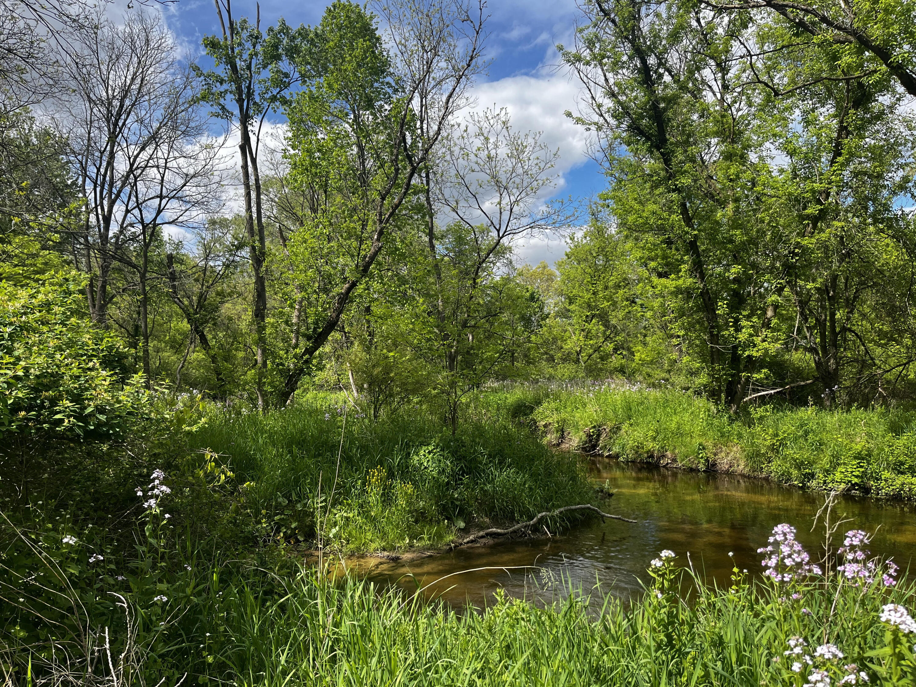 Creek frontage
