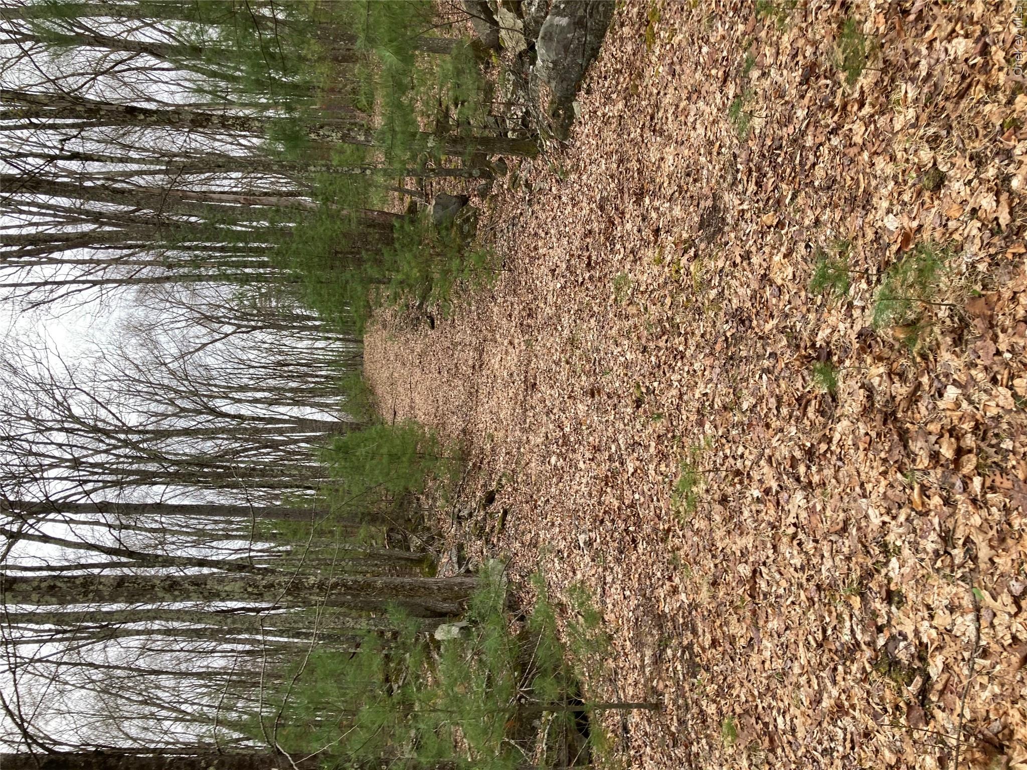 Plank Road Forestburgh, NY 12777 - Photo 9 of 14 View of nature