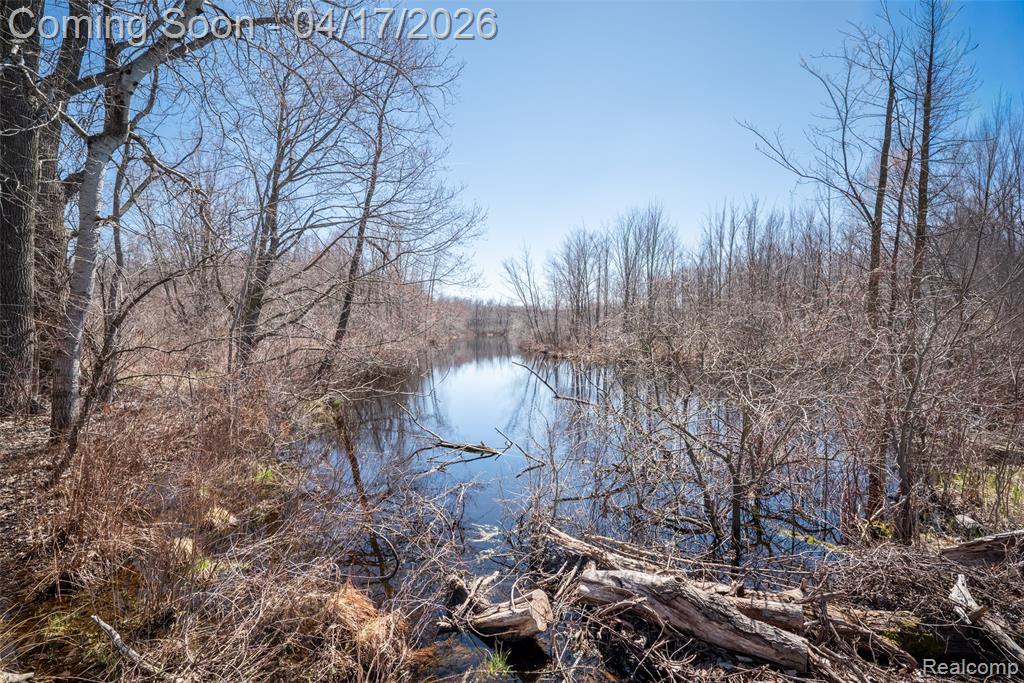 825 West Rose Center Road Holly, MI 48442 - Photo 8 of 29