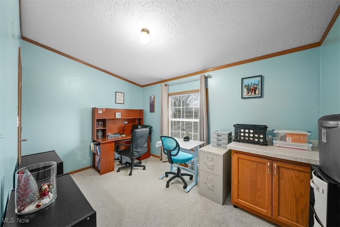 17296 Old State Road Middlefield, OH 44062 - Photo 22 of 44 Carpeted office with lofted ceiling, a textured ceiling, and ornamental molding