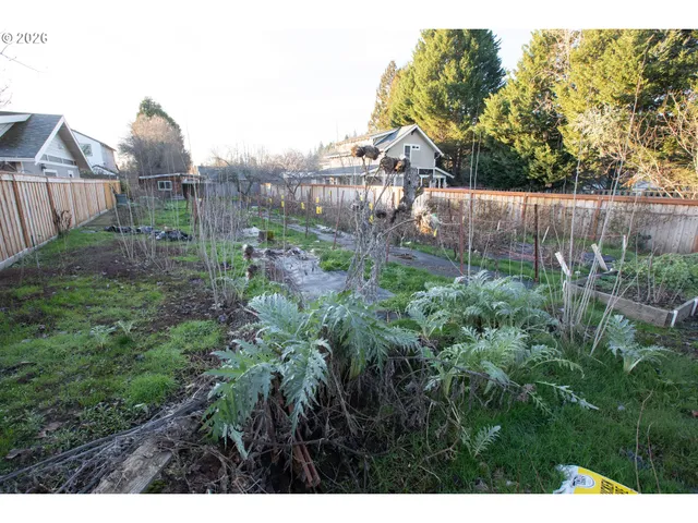 a view of a backyard with large trees