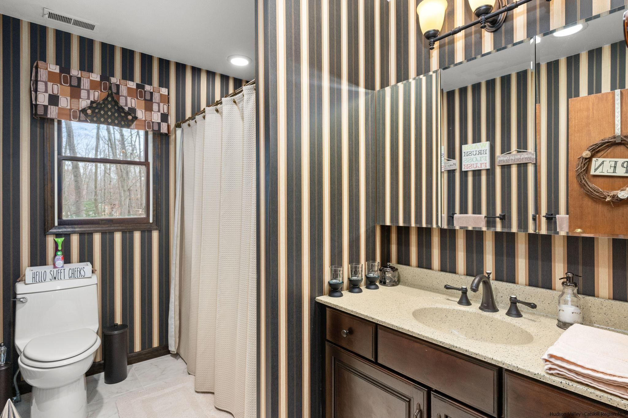 154 Mountain View Road Tillson, NY 12486 - Photo 14 of 25 a bathroom with a sink a toilet and a mirror