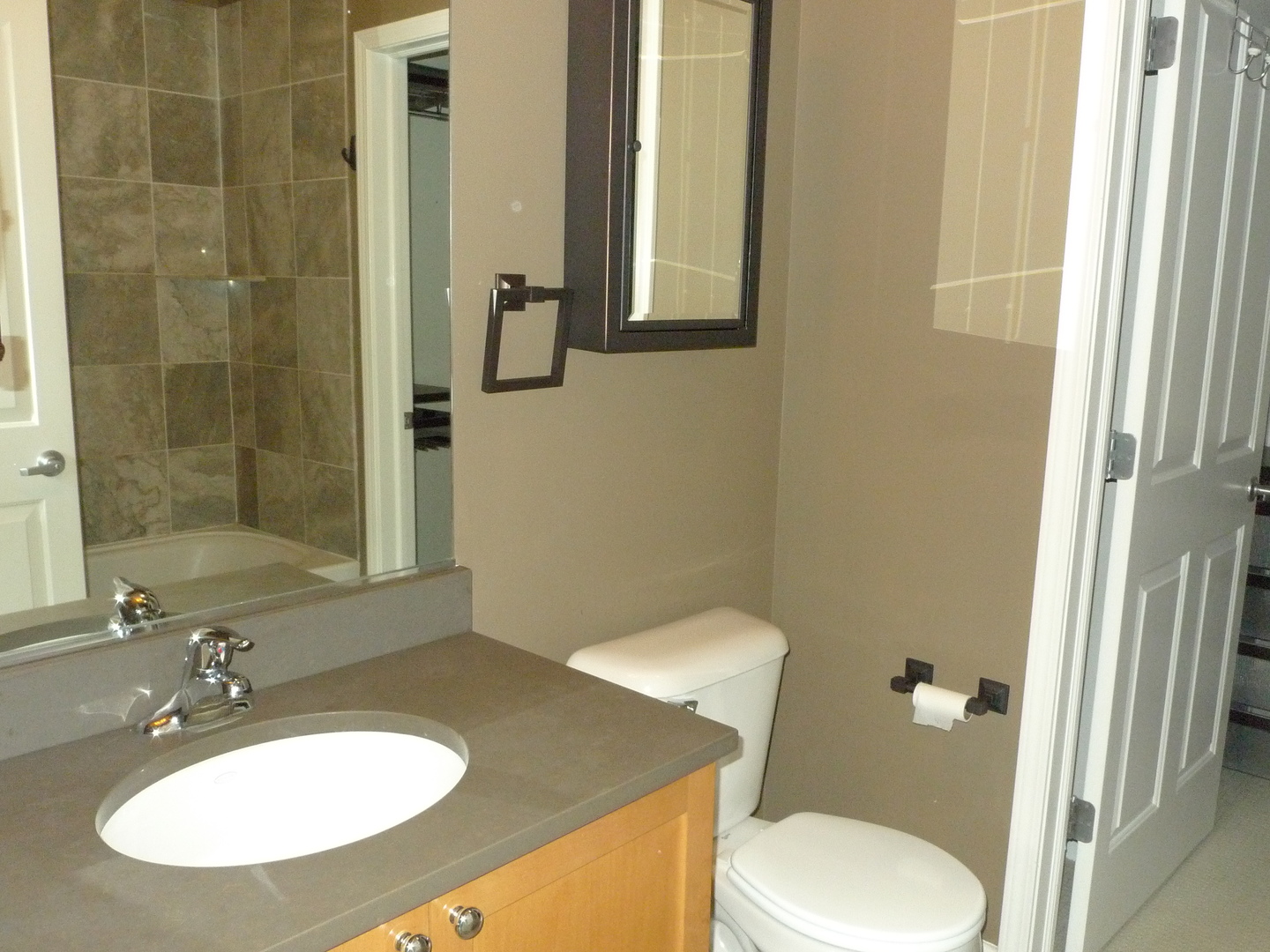 1464 South Michigan Avenue, Unit 710 Chicago, IL 60605 - Photo 16 of 22
