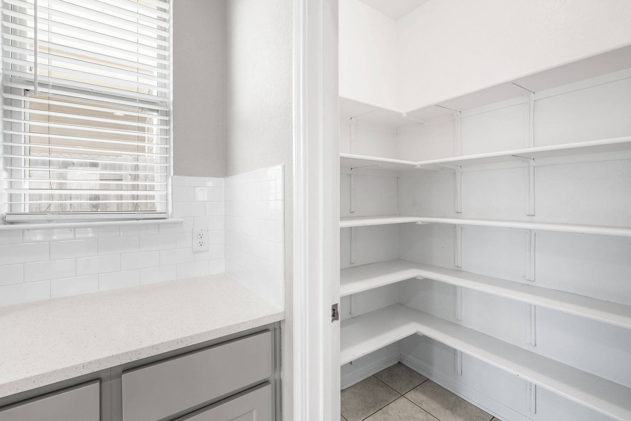 313 Mclintock Road Jarrell, TX 76537 - Photo 18 of 40 Ample storage awaits with this well-organized pantry and convenient counter space.