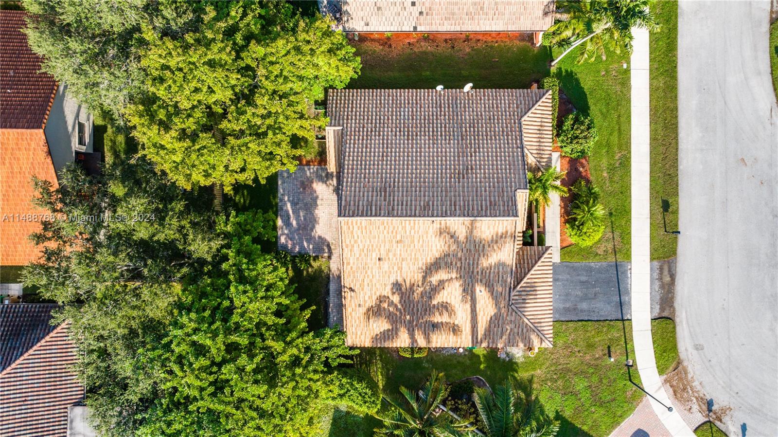 9641 Ridgeside Court Davie, FL 33328 - Photo 44 of 47 view of a yard with plants and large trees