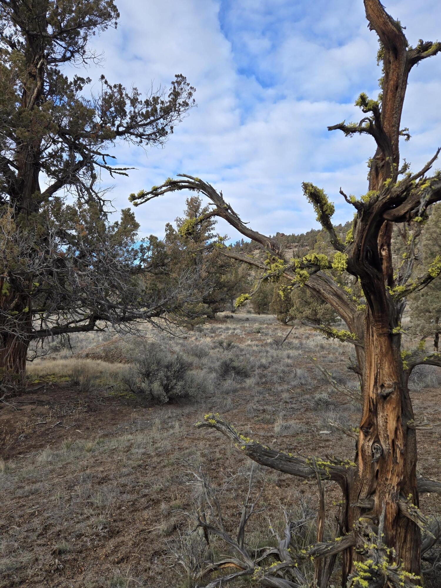 10098 Pavati Road, Unit LOT 36 Prineville, OR 97754 - Photo 2 of 13 20260211_160639