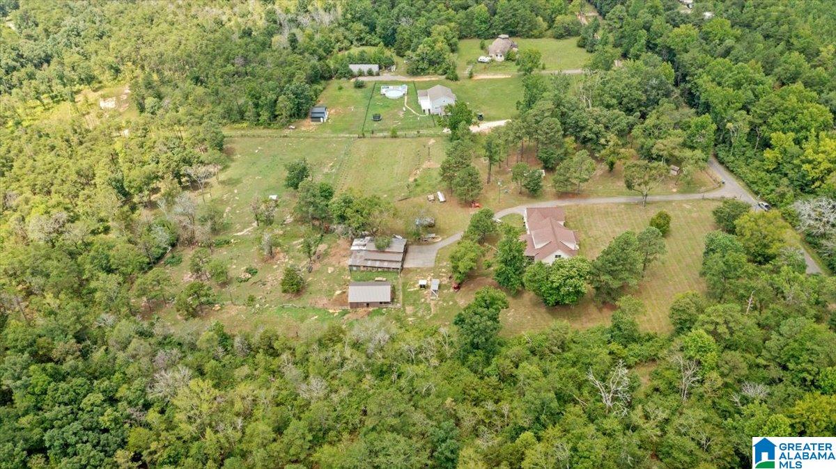 770 Newton Road Odenville, AL 35120 - Photo 28 of 40