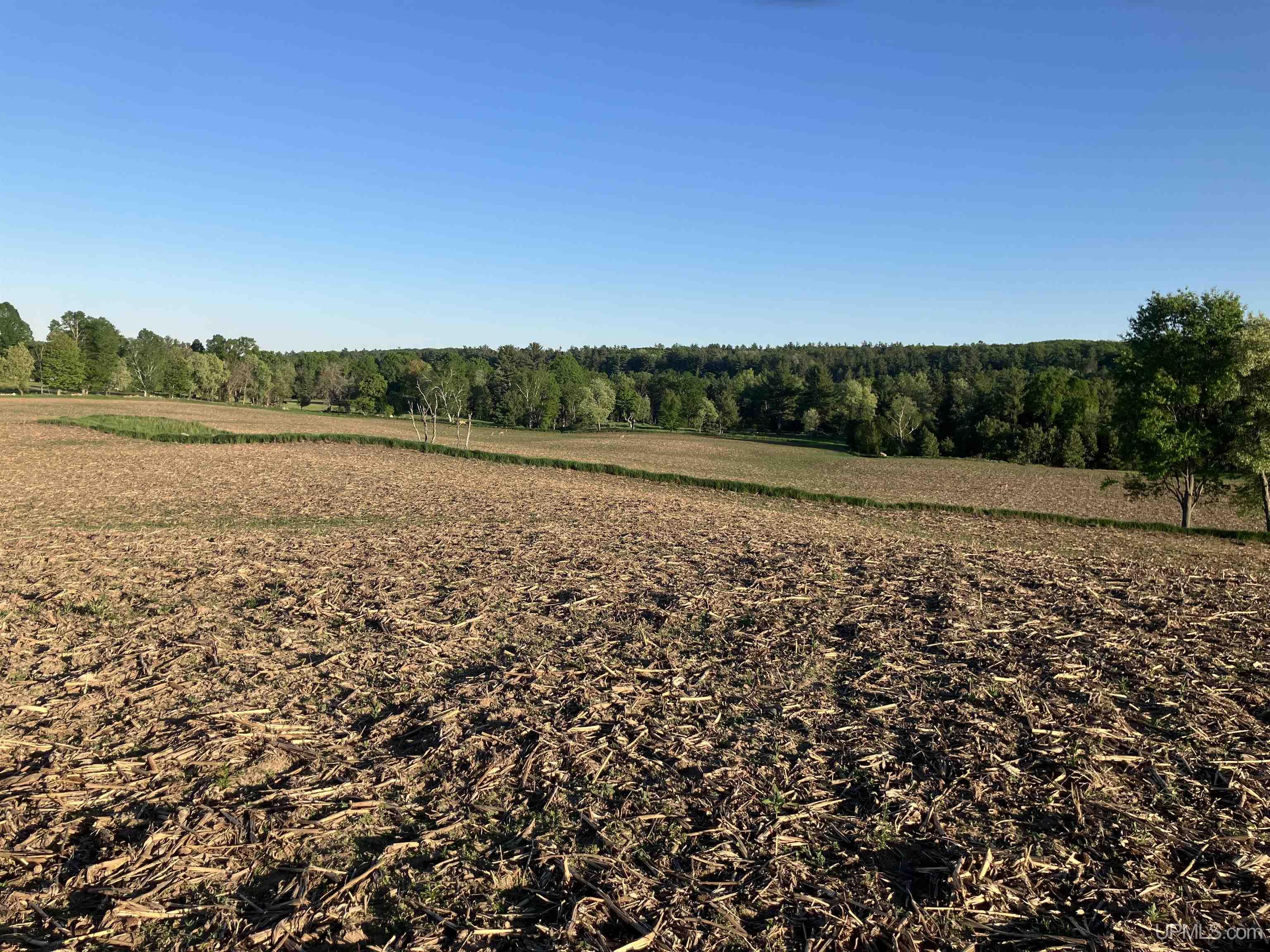 Tbd Pine Creek Road Vulcan, MI 49892 - Photo 6 of 8