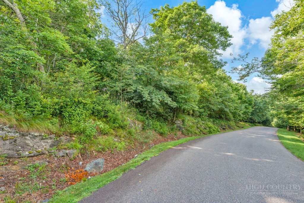 Lot 17 Crown Point Road West Jefferson, NC 28694 - Photo 11 of 21