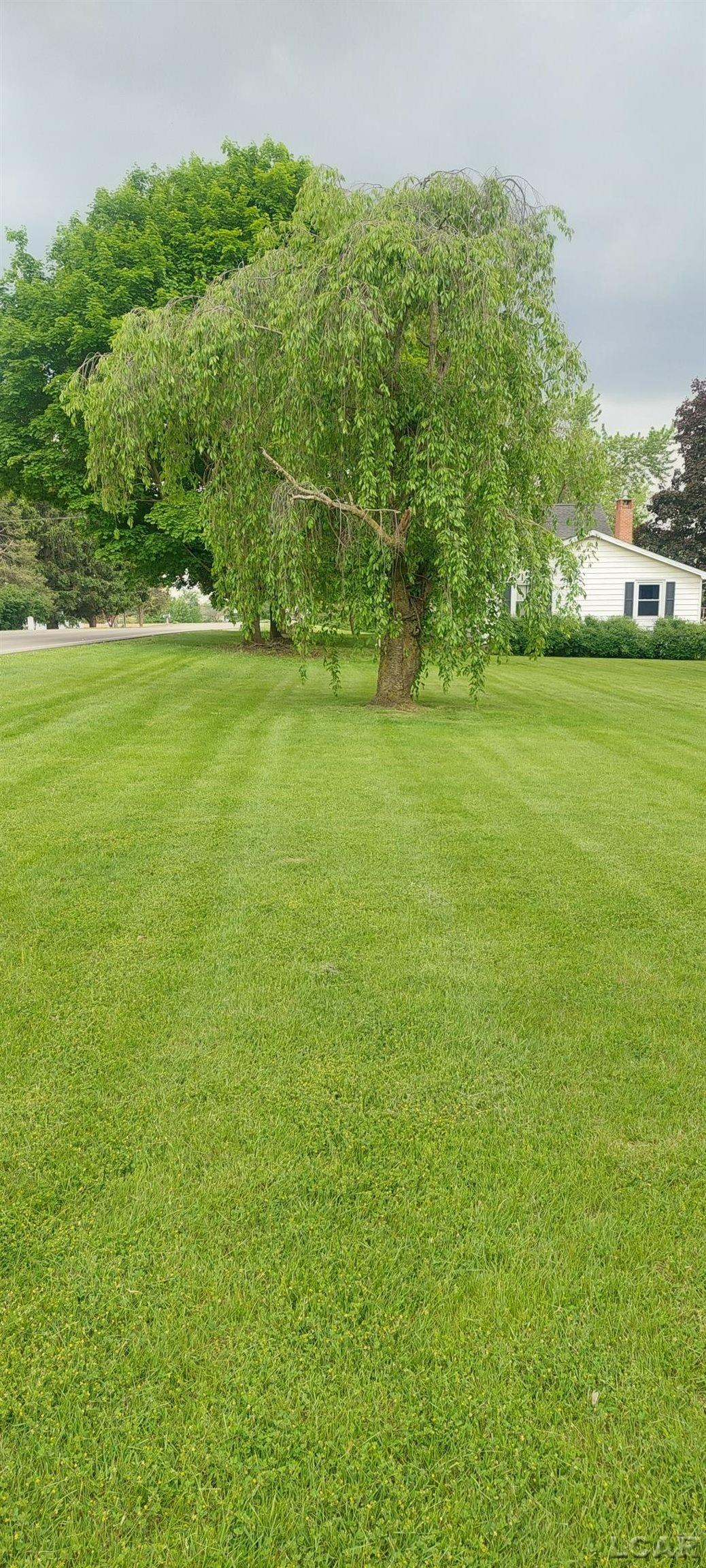 6328 Ridge Highway Britton, MI 49229 - Photo 25 of 98 50143092-fb447cdc-49ae-46ef-9c63-707dcf2a8d2b.JPG
