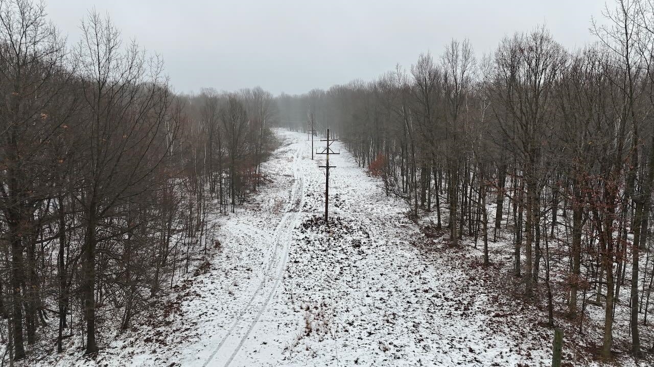 V/l South Chapin Road Elsie, MI 48831 - Photo 18 of 20