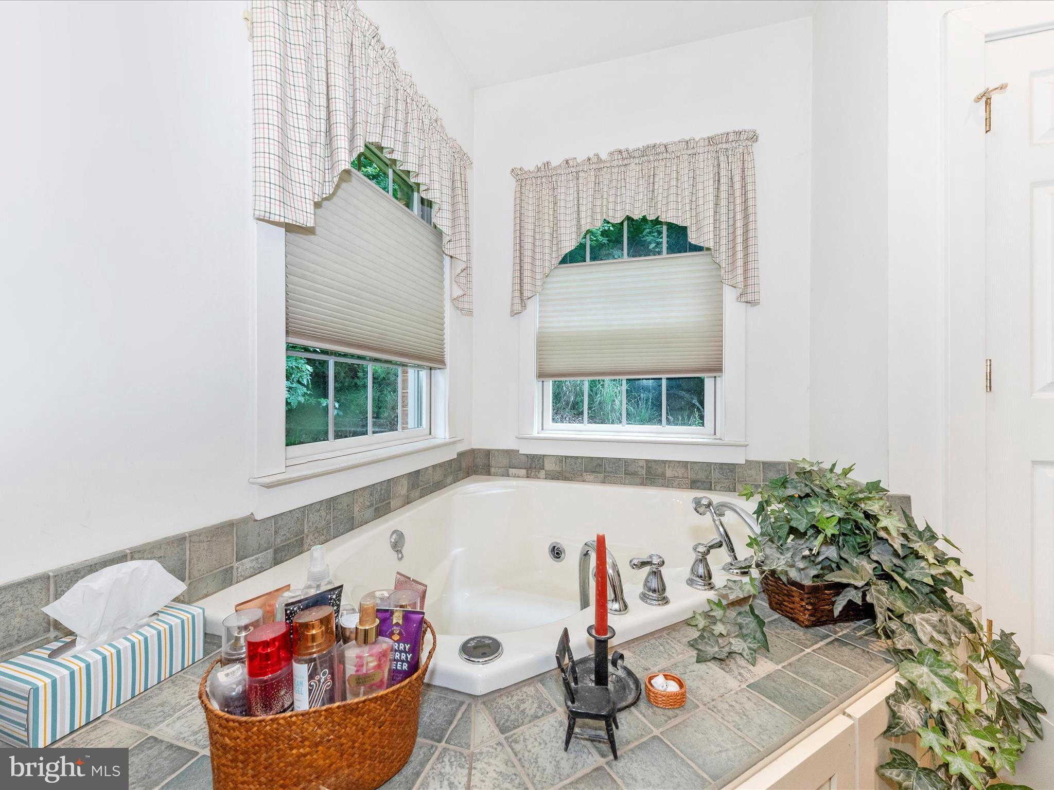 13013 Draper Road Clear Spring, MD 21722 - Photo 28 of 53 a living room with furniture and a potted plant
