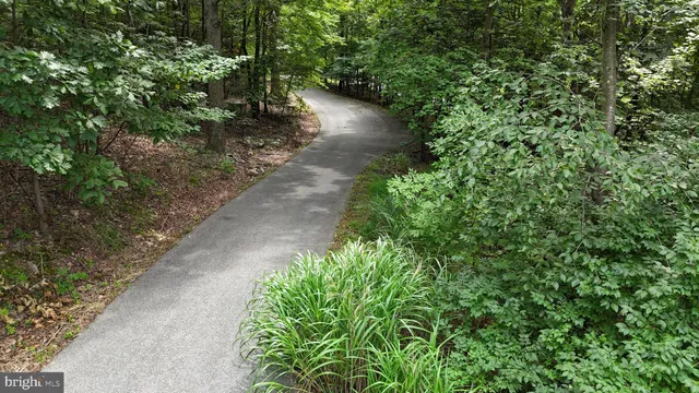 a view of a pathway both side of yard