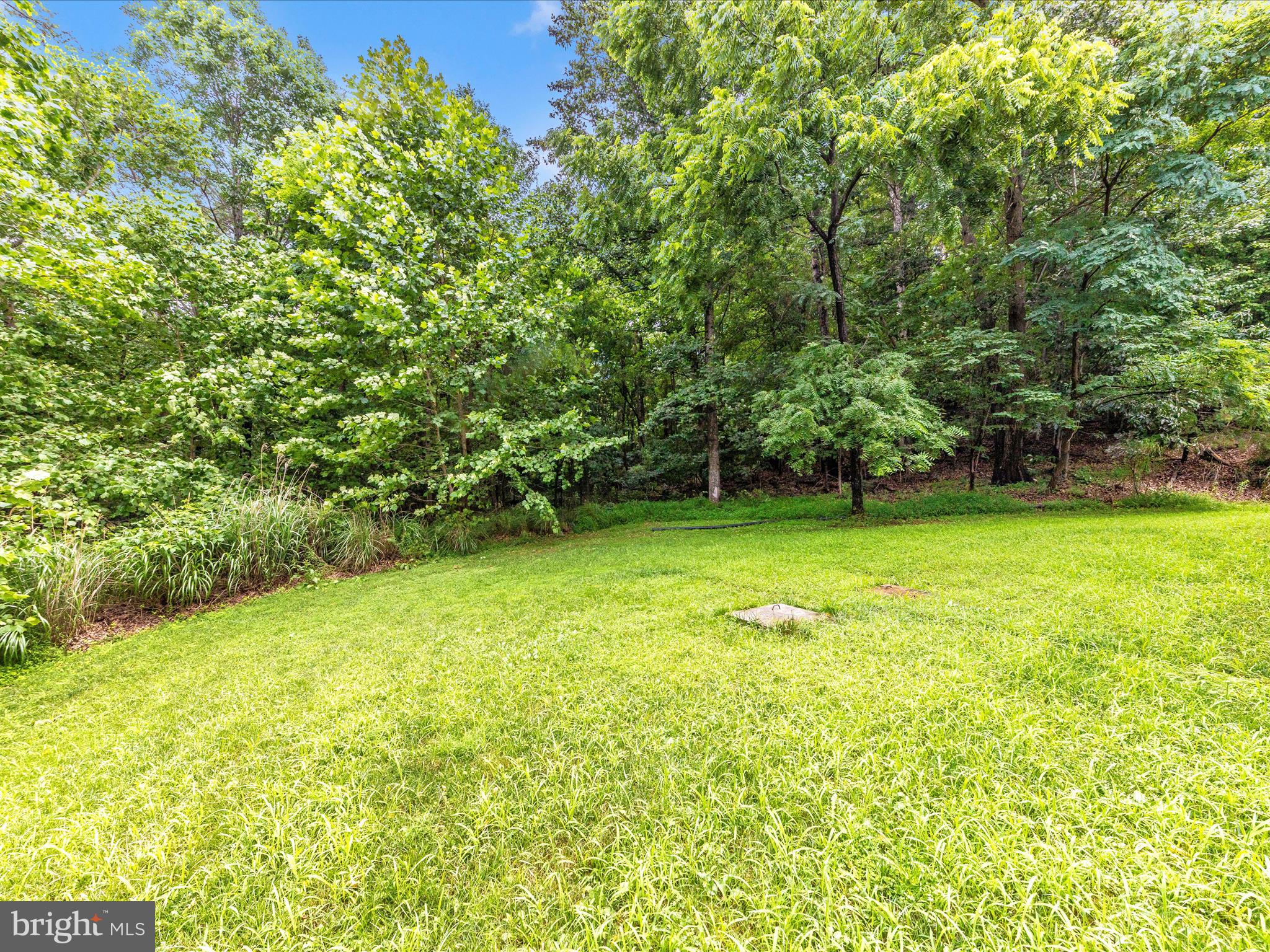 13013 Draper Road Clear Spring, MD 21722 - Photo 6 of 53 a view of a field with a trees in the background