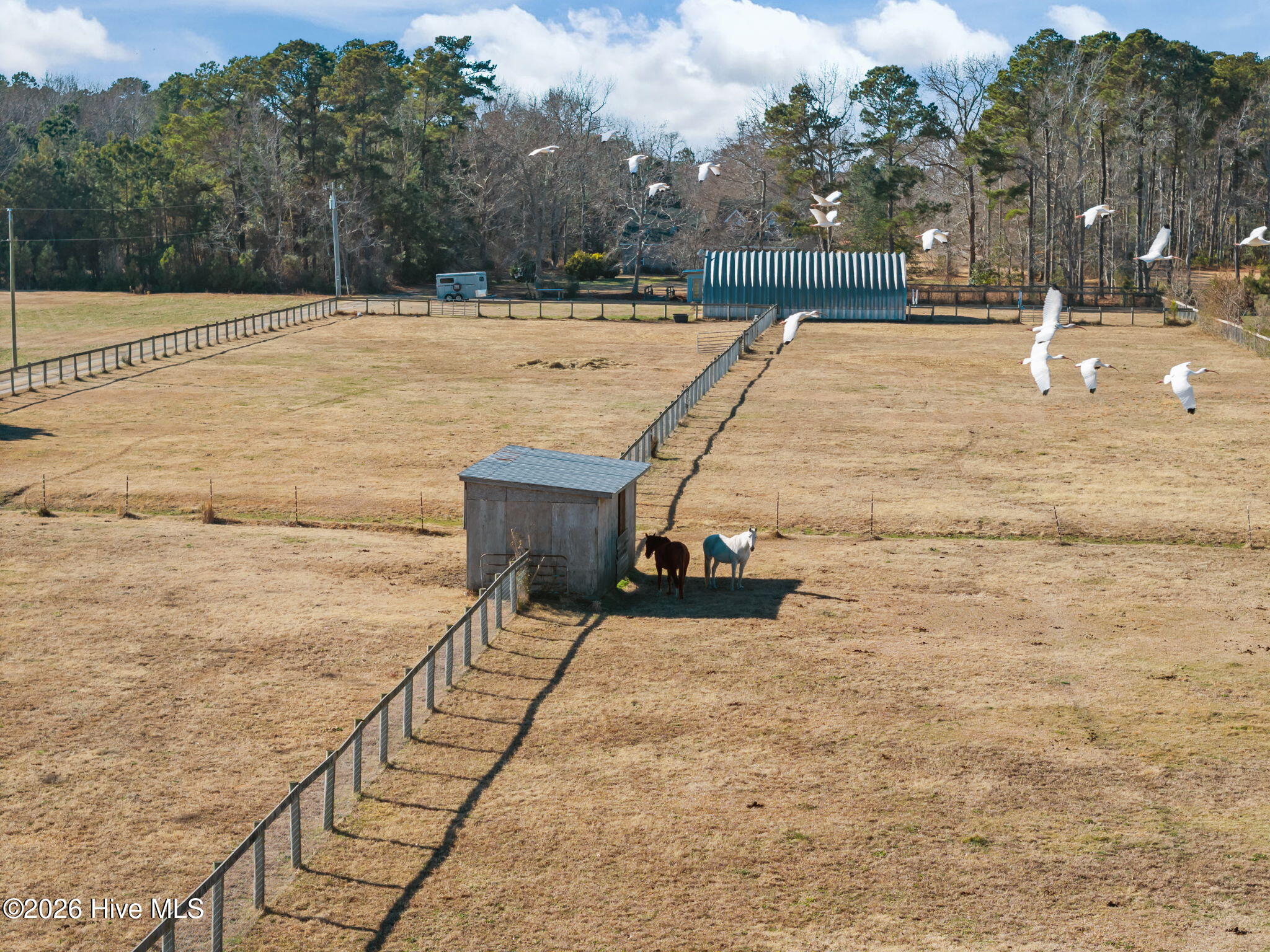 108 Young Rider Lane Grandy, NC 27939 - Photo 45 of 67