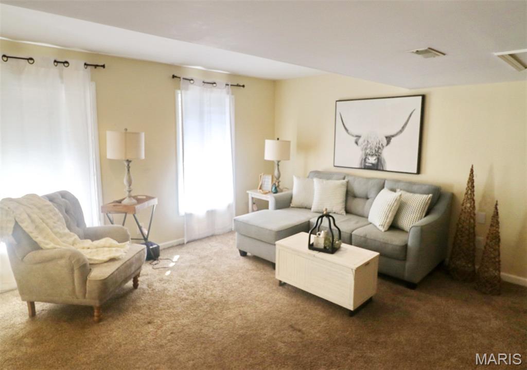 1490 Cole Road Festus, MO 63028 - Photo 29 of 37