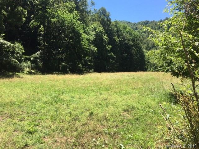 0 Caney Fork Road, Unit NONE Cullowhee, NC 28723 - Photo 4 of 7