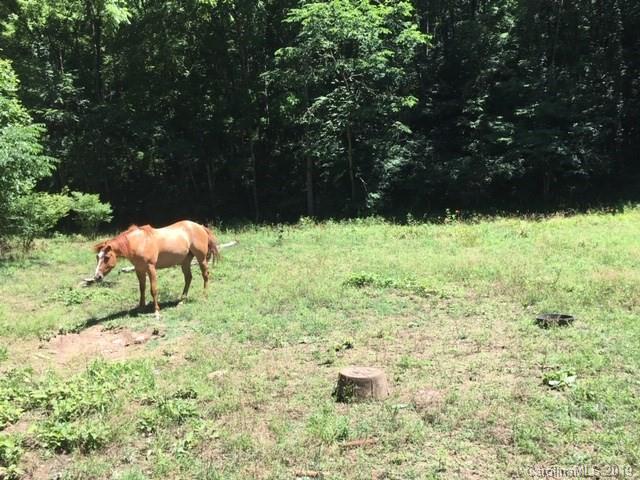 0 Caney Fork Road, Unit NONE Cullowhee, NC 28723 - Photo 5 of 7