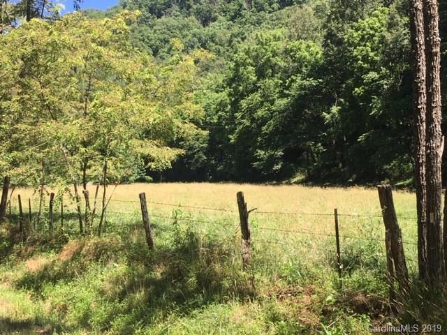 0 Caney Fork Road, Unit NONE Cullowhee, NC 28723 - Photo 7 of 7