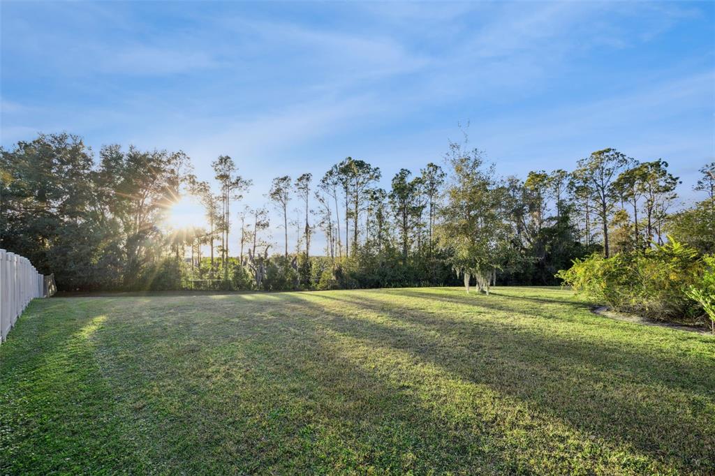 1218 Hillcrest View Loop Apopka, FL 32703 - Photo 60 of 69