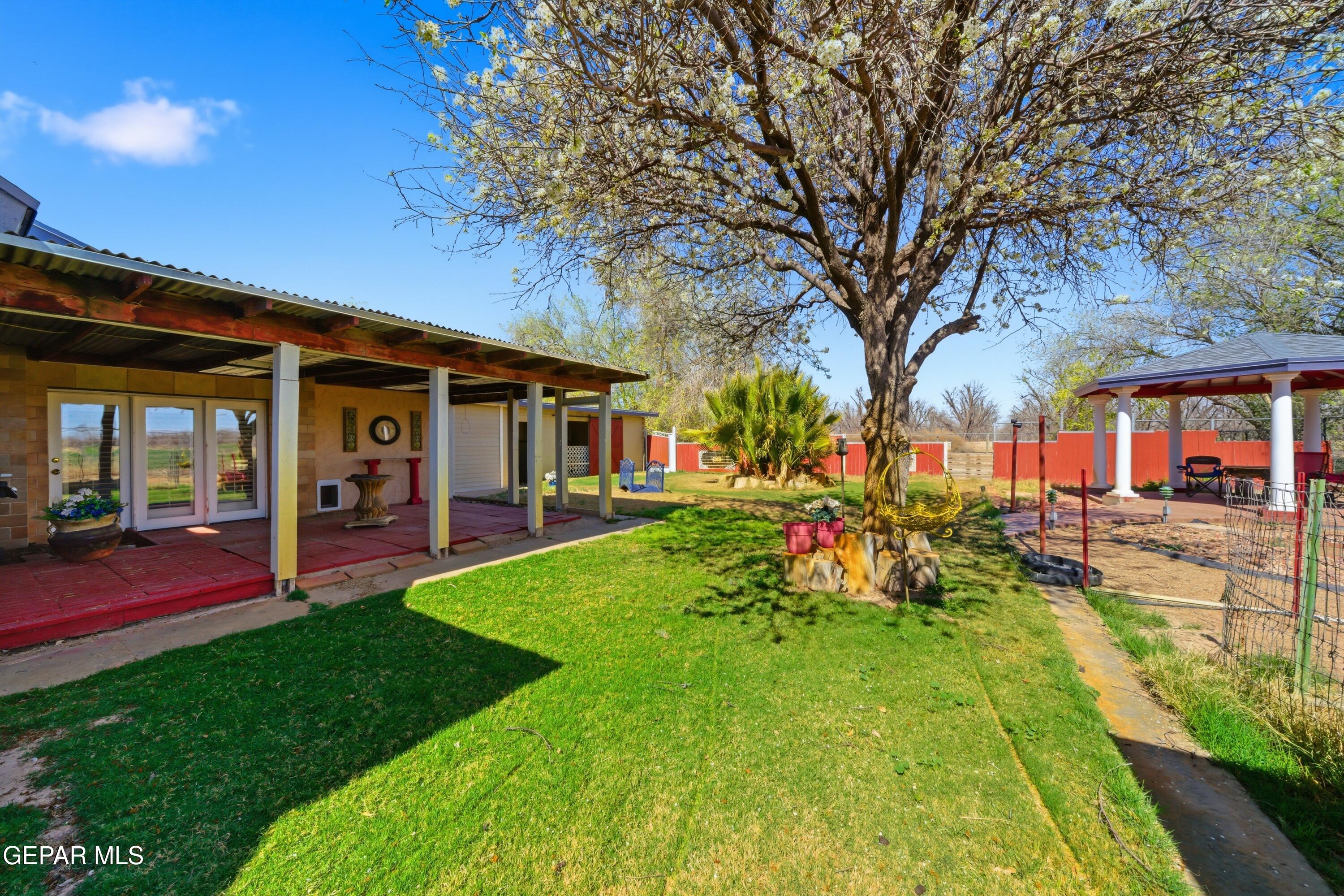 14500 North Loop Drive Clint, TX 79836 - Photo 30 of 31 Clint_Texas_GrassYard_79836