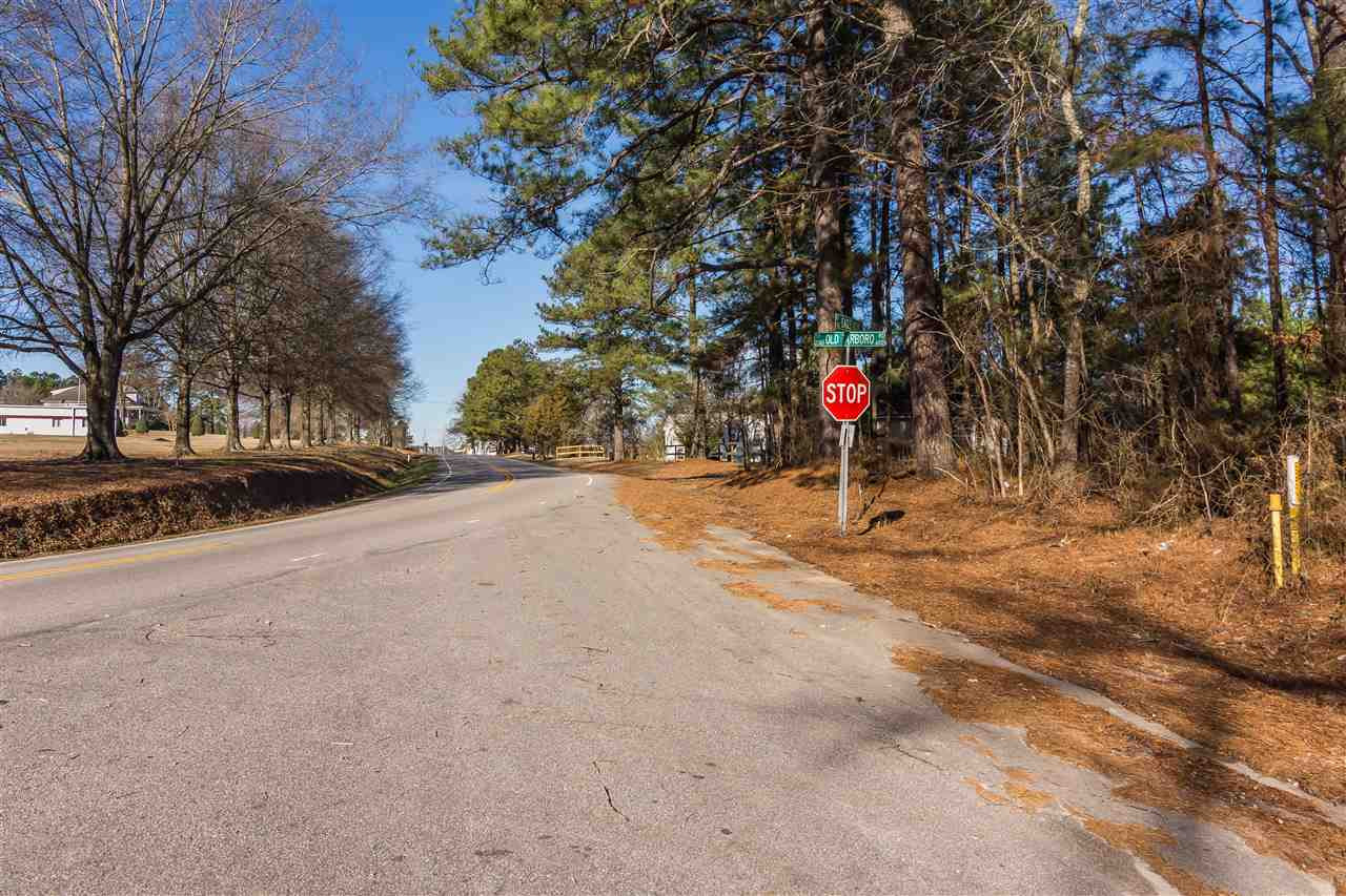 0 Old Tarboro Road Wendell, NC 27591 - Photo 1 of 1 a view of road and trees