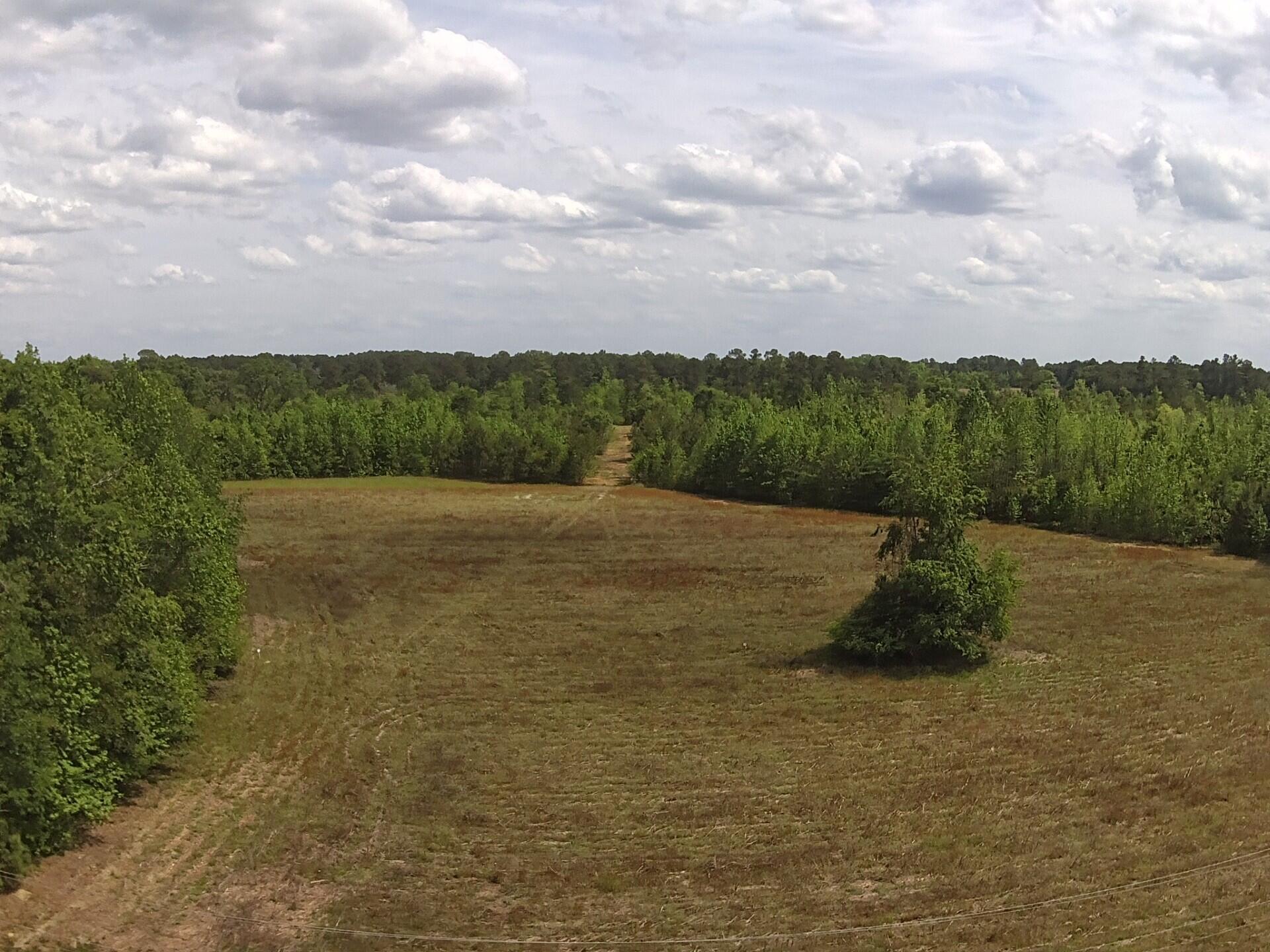 2 County Rd S-18-610 St. George, SC 29477 - Photo 4 of 22 al76