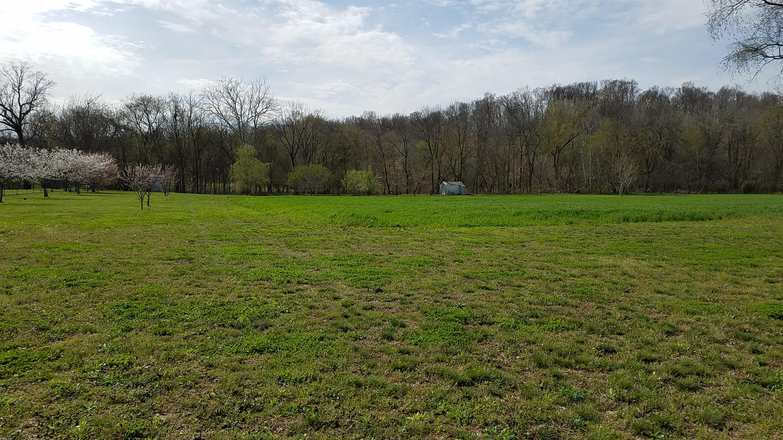 6272 Roy Pearson Road Springfield, TN 37172 - Photo 8 of 29 a view of a field of grass and trees