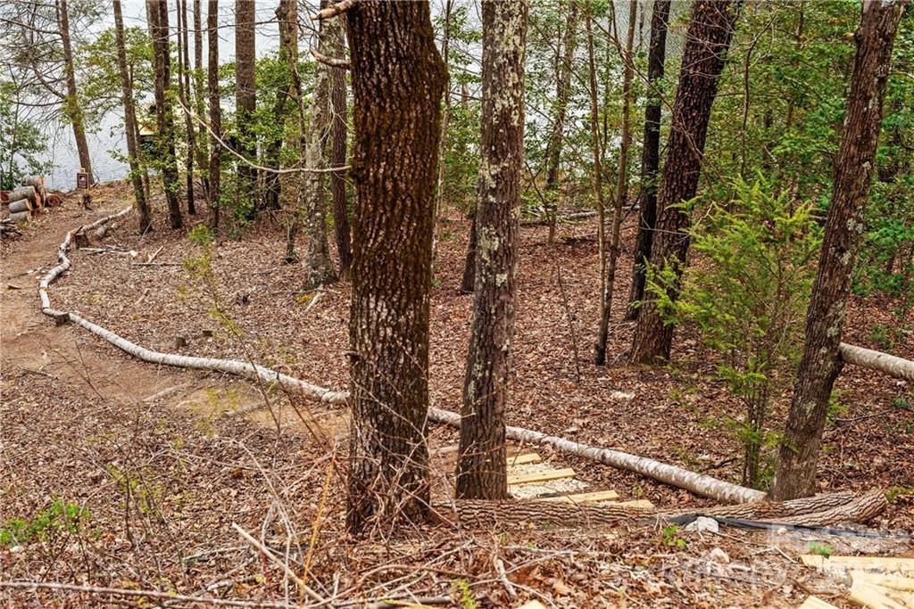 552 Lake Road Old Fort, NC 28762 - Photo 43 of 46