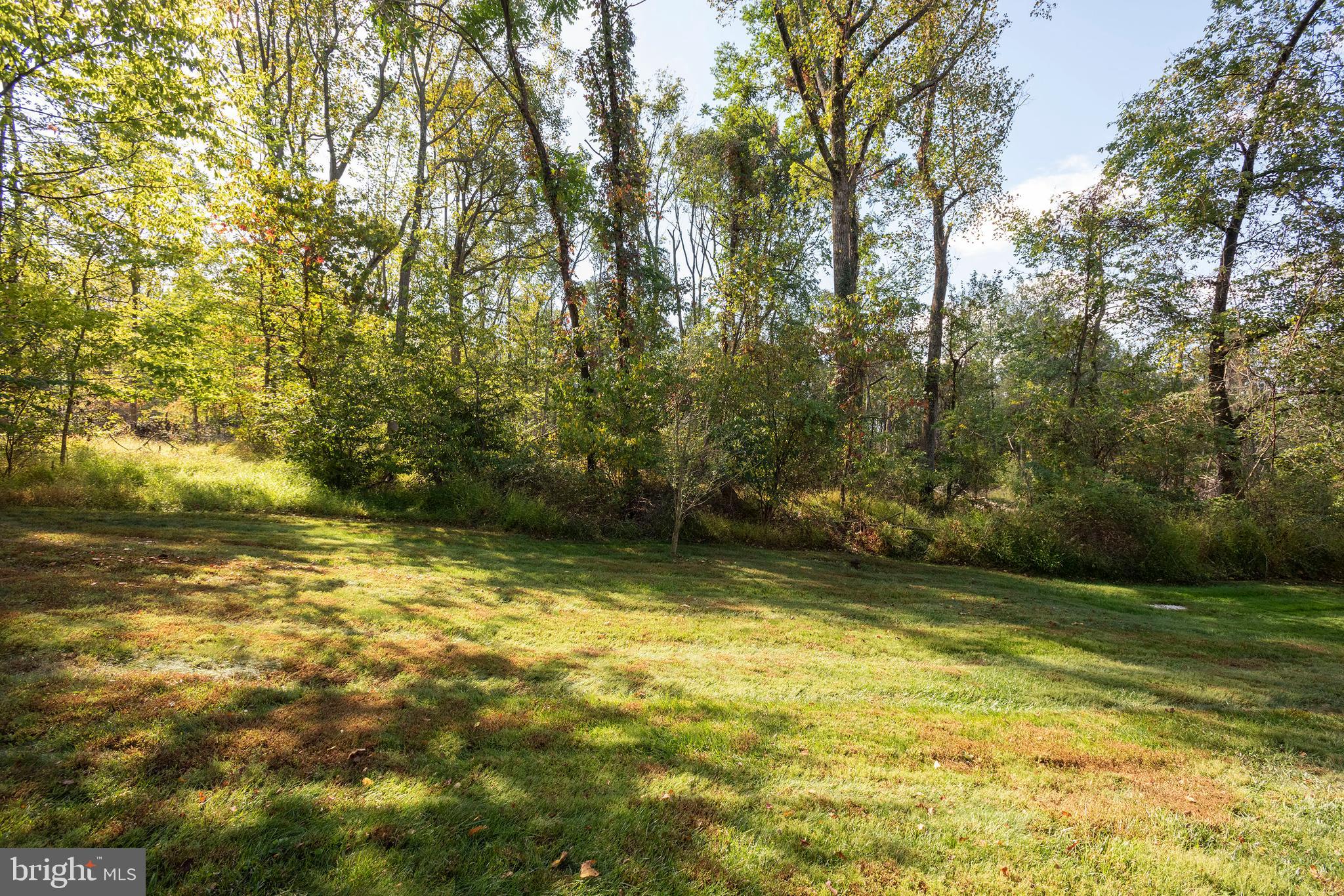 10527 Rum Springs Road Frederick, MD 21702 - Photo 36 of 39 Back yard backing to Catoctin Mountains