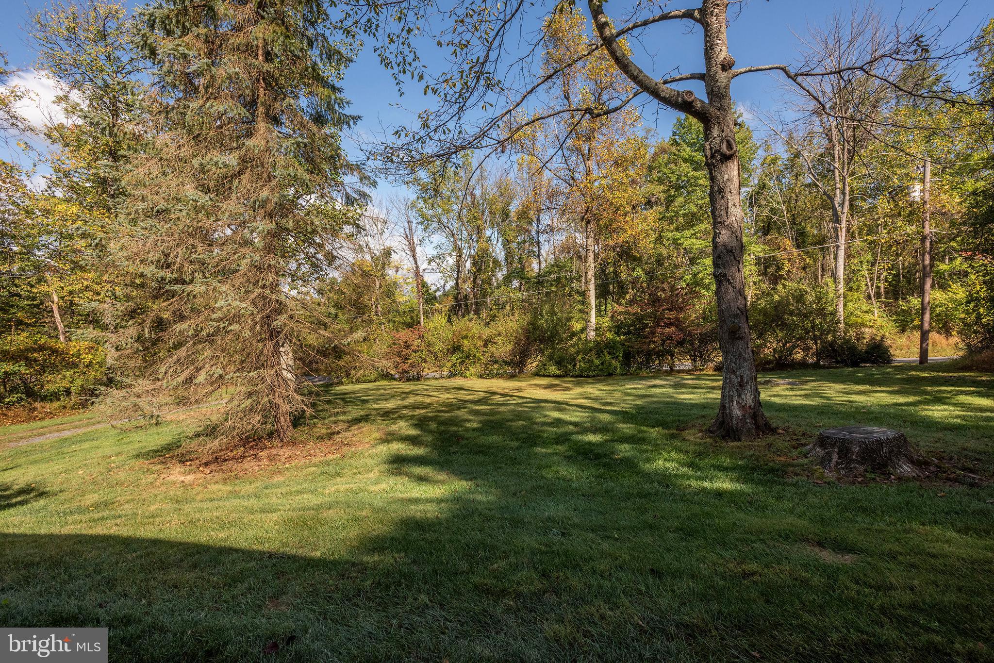 10527 Rum Springs Road Frederick, MD 21702 - Photo 37 of 39 Back yard backing to Catoctin Mountains