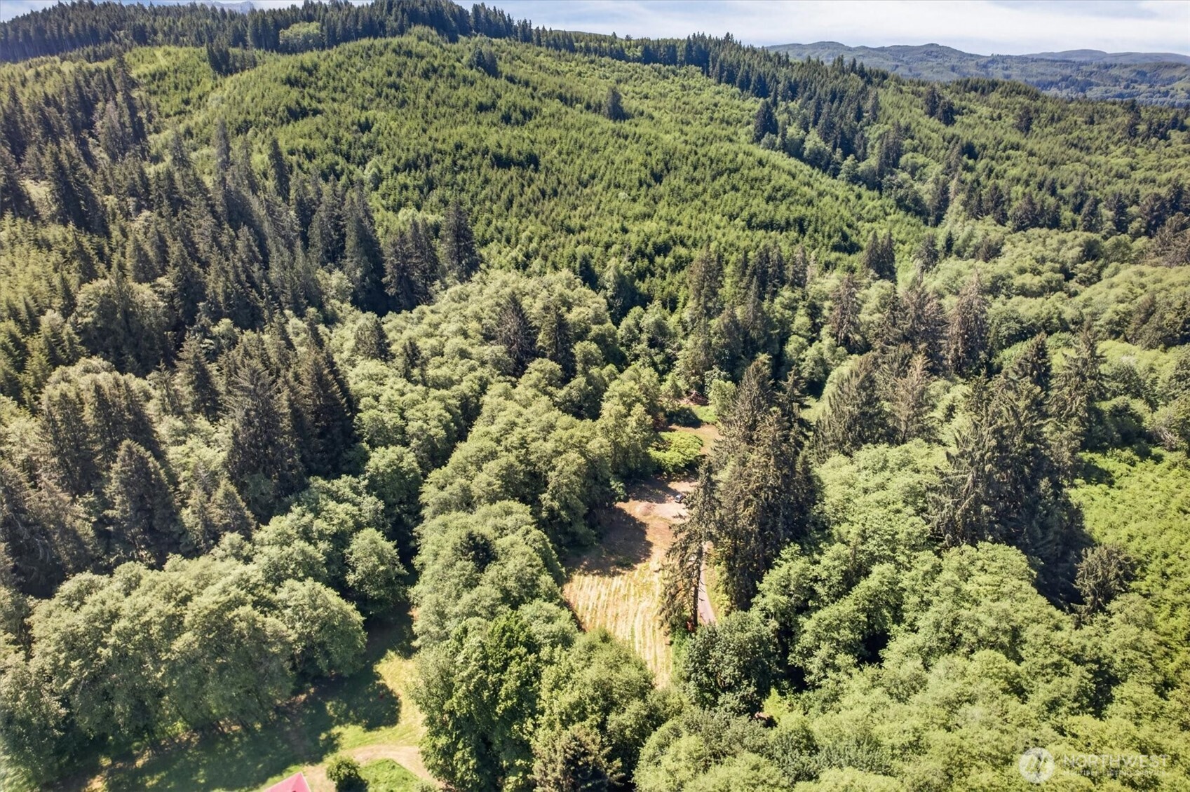 344 Hull Creek Road Grays River, WA 98621 - Photo 22 of 29