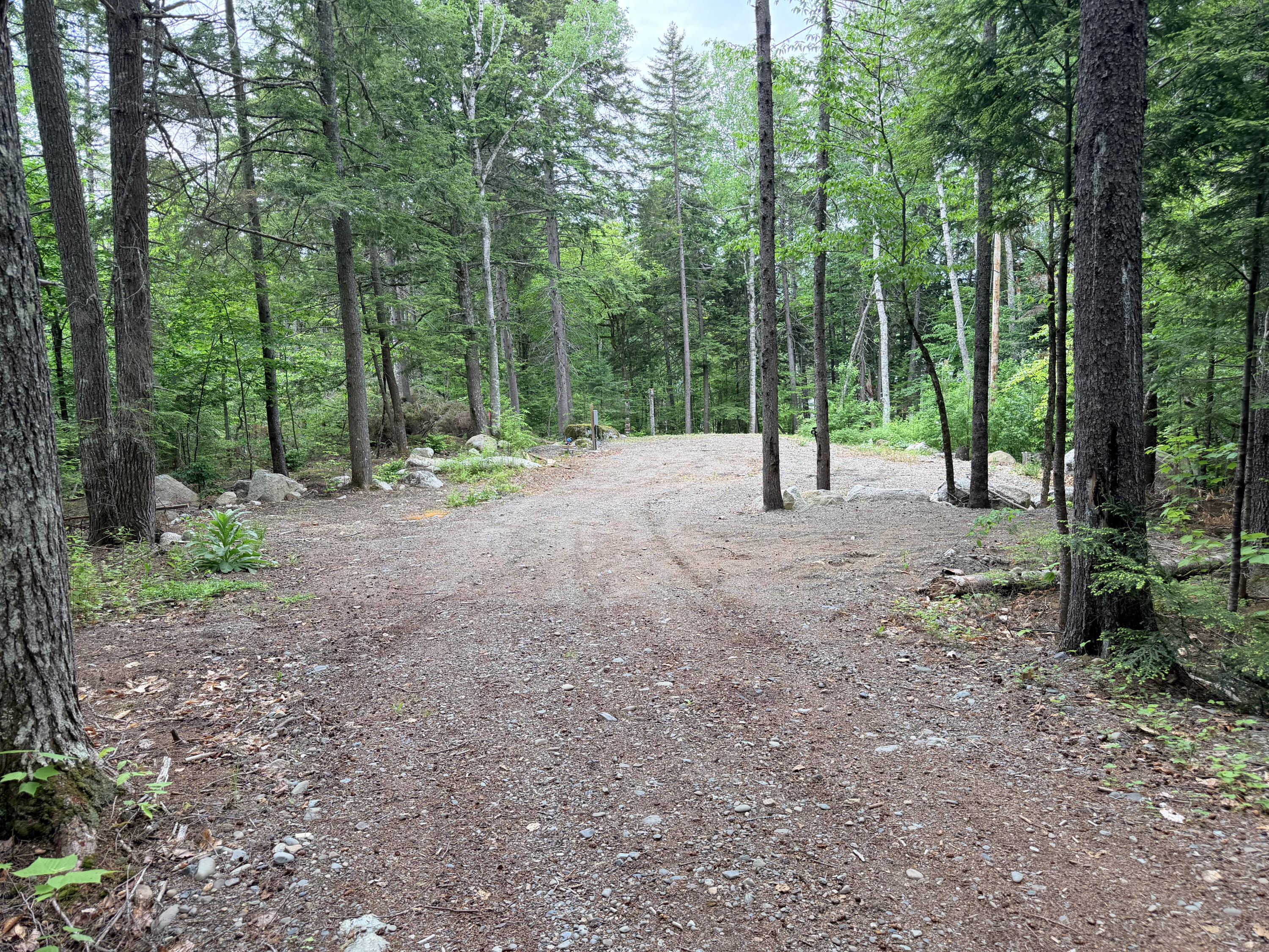 19 Brown Road Danforth, ME 04424 - Photo 2 of 11 1
