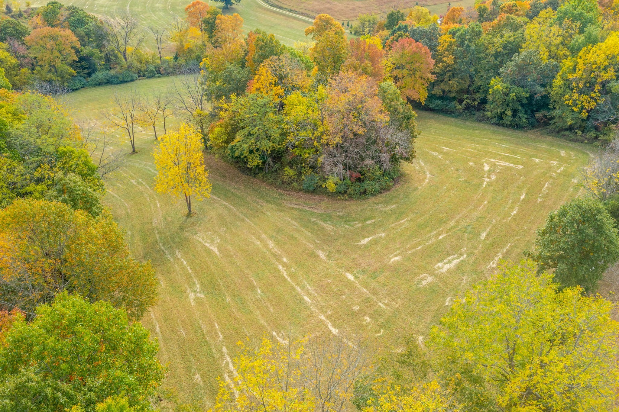 0 Benson Road Springfield, TN 37172 - Photo 8 of 10